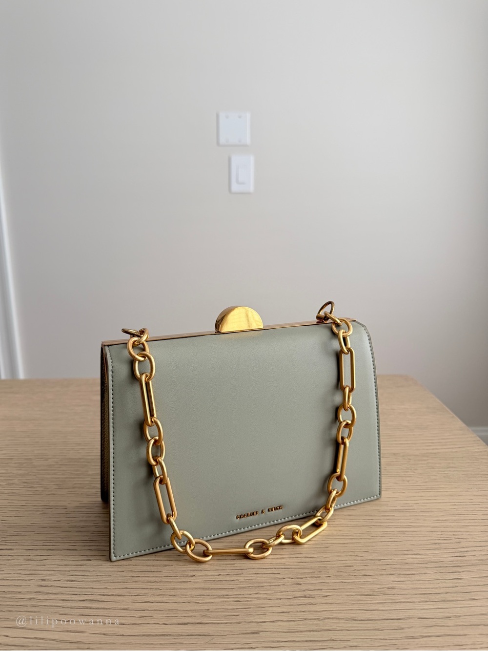 NEW Charles & Keith Sage Green Frame Shoulder Bag | Gold Hardware | Crossbody